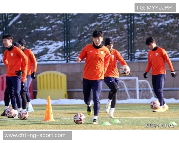 邹鹏在足球场上的奋斗历程与辉煌成就解析